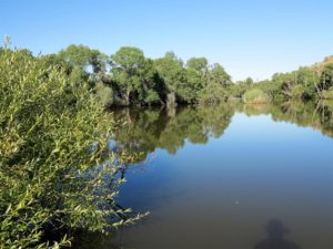 Humedal en el río Yeltes, ¿sobrevivirá a la mina de uranio?/ Foto J.M.