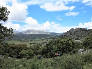 Vista general en el parque nacional de Grazalema. Foto J. M.