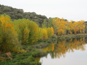Ribera del río Tormes./ Foto Joaquín Mayordomo