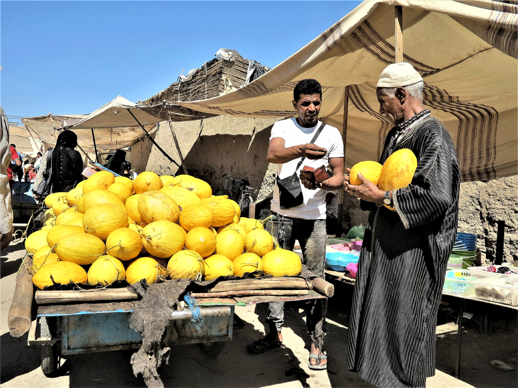 De los campos de Asilla al desierto... 'Los melones amarillos!./ Foto JM
