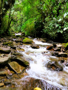 Un río enla selva./ Foto JM