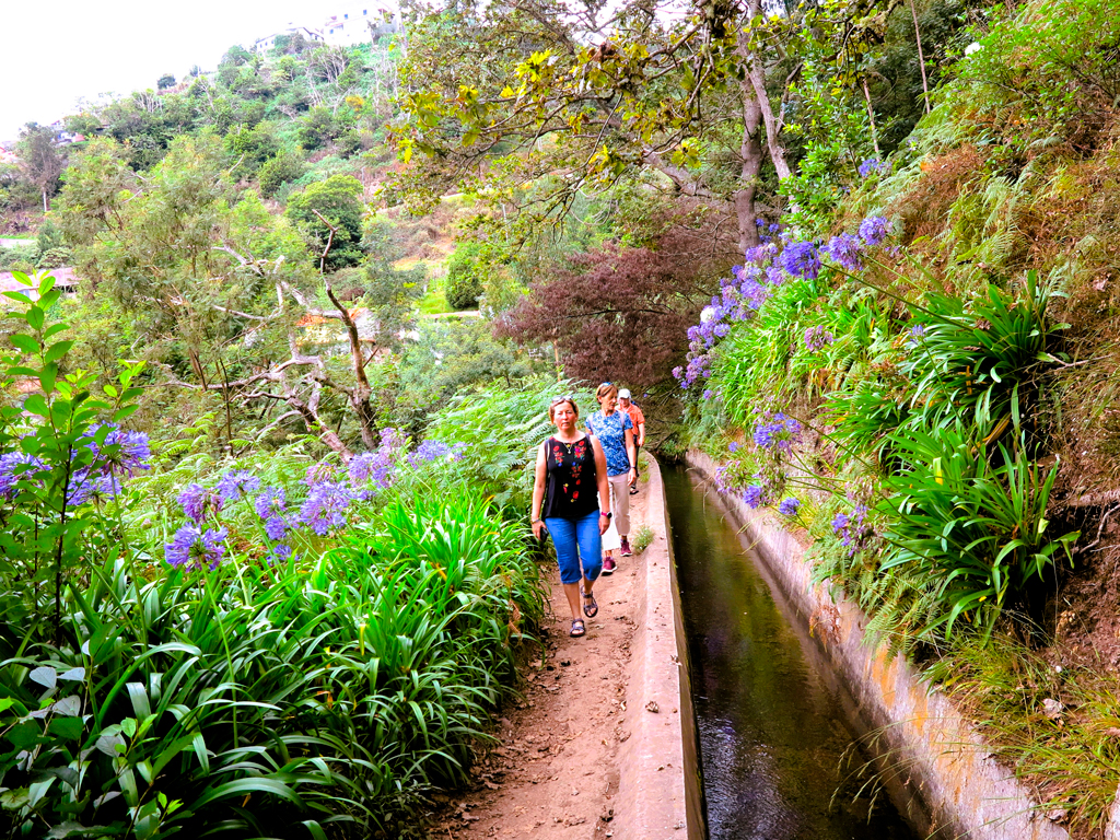 Caminando entre flores./ Foto JM