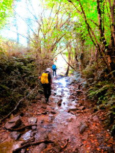 Los caminos intrincados, agua y barro... Todo contribuye al equilibrio./ Foto JM