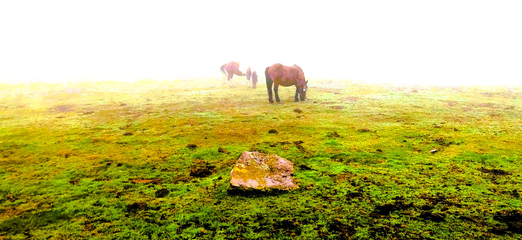 La soledad, a dos, se lleva mejor./ Foto A. Barros