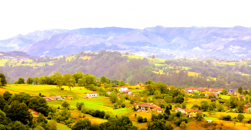 Verde que te quiero verde para combatir el calor./ Foto JM