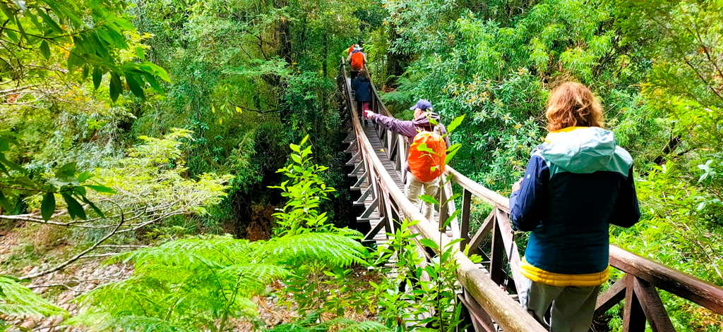 En los parques naturales los senderos están perfectamente acondicionados para que pueda visitarlos todo el mundo./ Foto A.B.