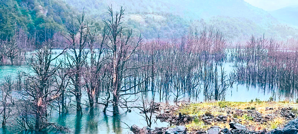 Cuando hay corrimientos de tierra los ríos se interrumpen y forman lagunas inundando los bosques. / Foto PdeP